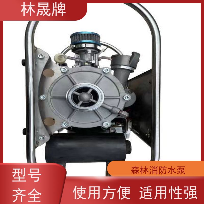 林晟牌 应急水泵 消防泵 LS-396G 背负式 可按需定制