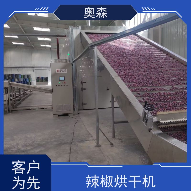 奥森 食品药品干燥设备 箱式烘干机 自动化 操作易上手 应用范围广