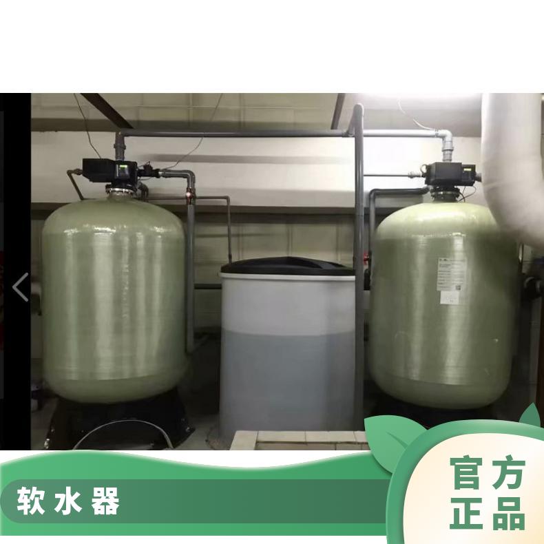 全自动软水器安装 LJ-I-10 励进环保 是 0MPa~2.5MPa 树脂罐盐箱