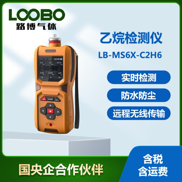 便携泵吸式乙烷检测仪 手持式乙烷含量浓度分析仪