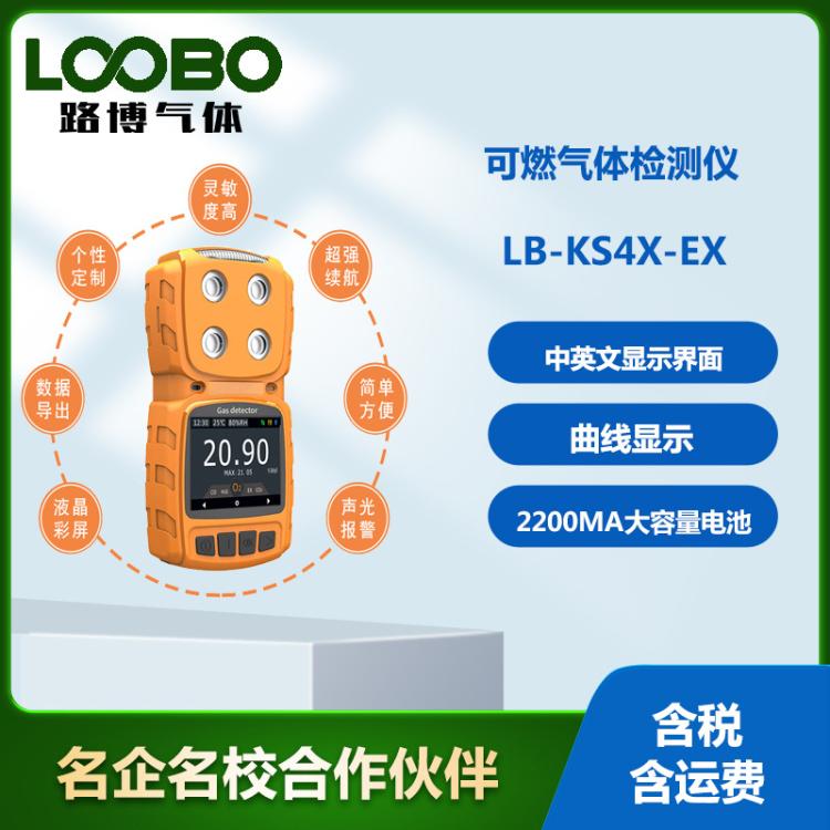 可燃气体检测仪 泵吸式可燃气体测试仪 便携式EX气体分析