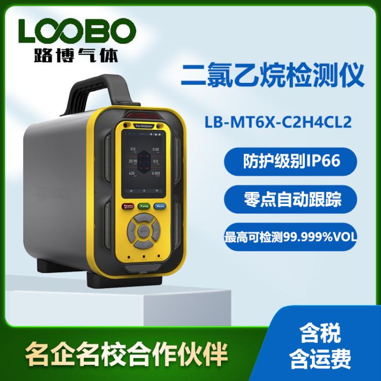 泵吸式二氯乙烷浓度分析探测器手提式二氯 乙烷气体含量检测仪