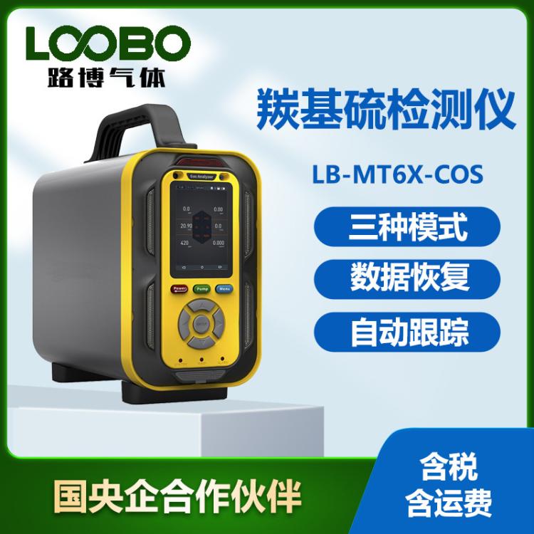 手提便携式羰基硫含量检测报警仪泵吸式羰基硫浓度分析测量仪