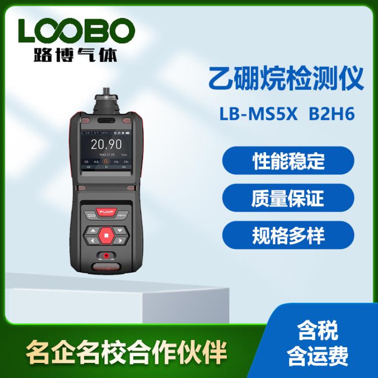 便携式乙硼烷检测仪 手持高精度泵吸 防爆 实时显示