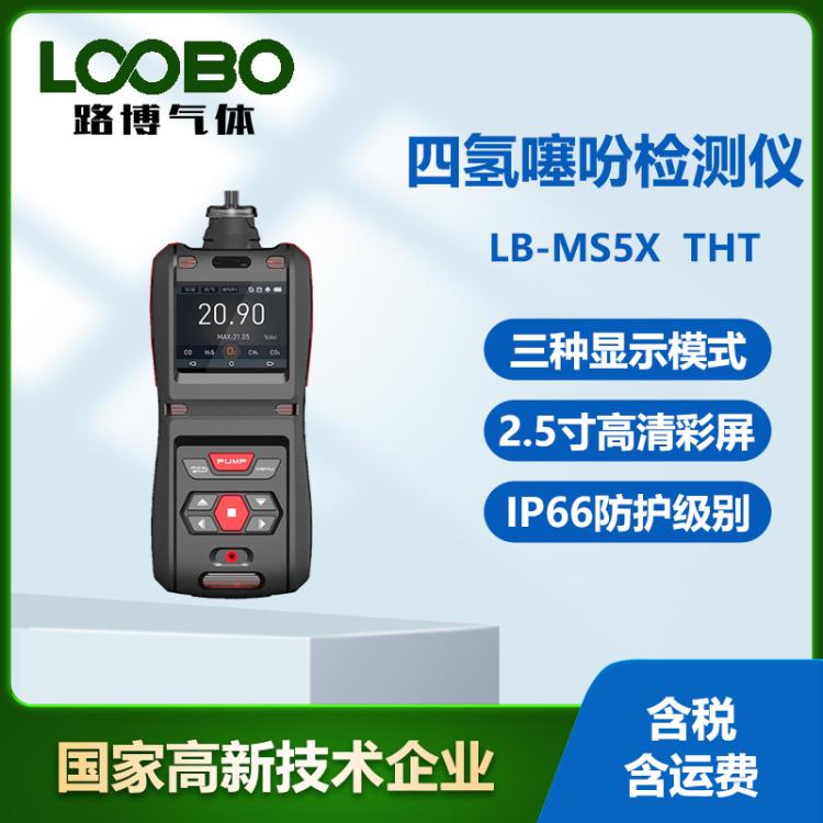 便携式四氢噻吩检测仪 高精度实时显示 泵吸式THT泄漏分析报警器