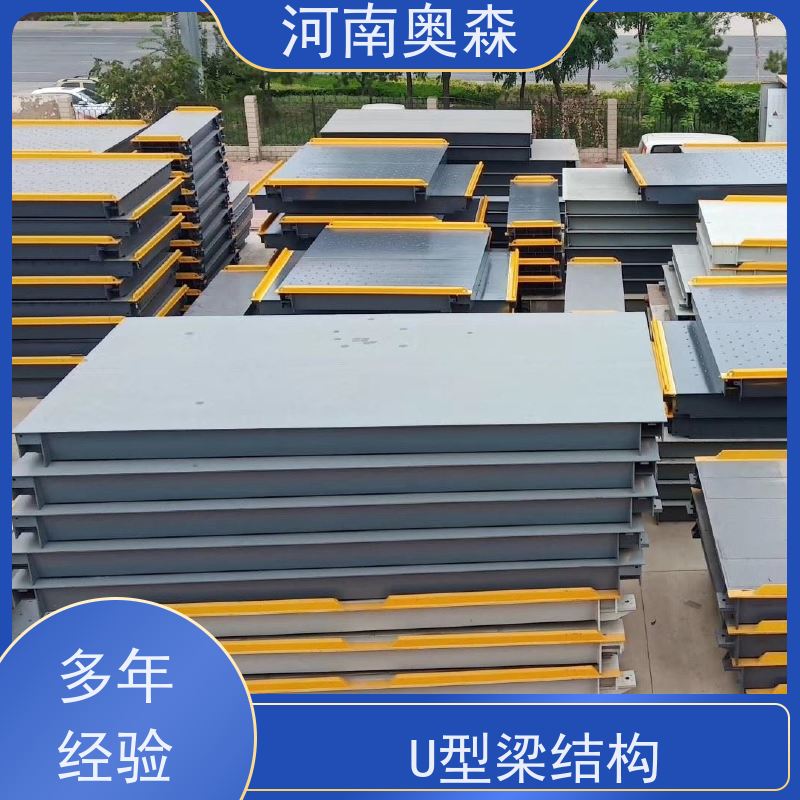 奥森 称重系统 电子秤 准确性高 稳定性强 全国供应