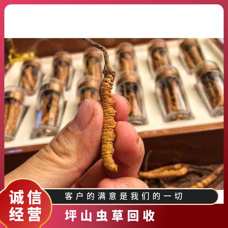坪山虫草回收行情走势 24小时可免费上门收购