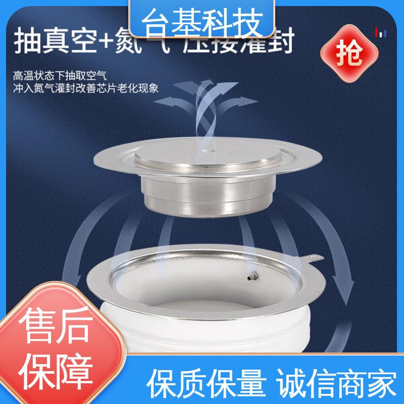 CTAIJI台基 ZP-2000A 平板整流管 环面陶瓷快速冷却 