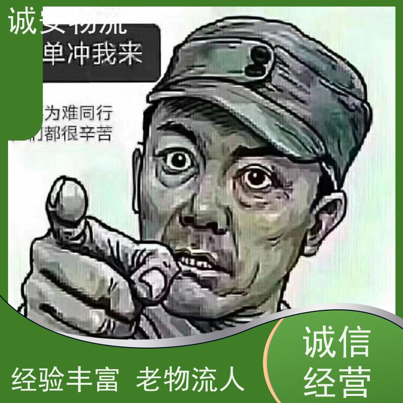 诚安物流12吨车香港运输公司陆运送货到门天天发车