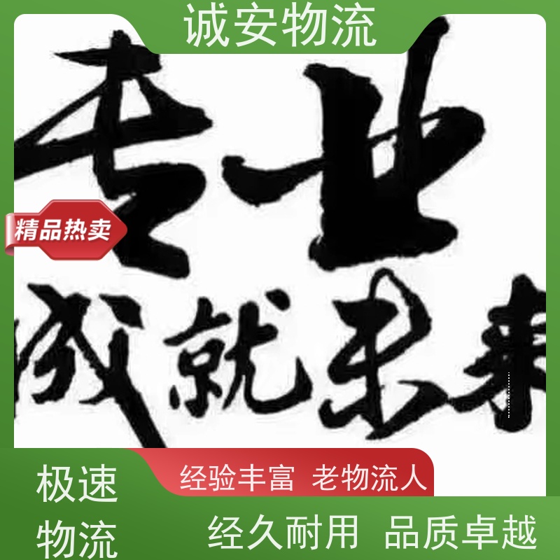 诚安物流45尺自备柜进出口报关商检速度快天天发车