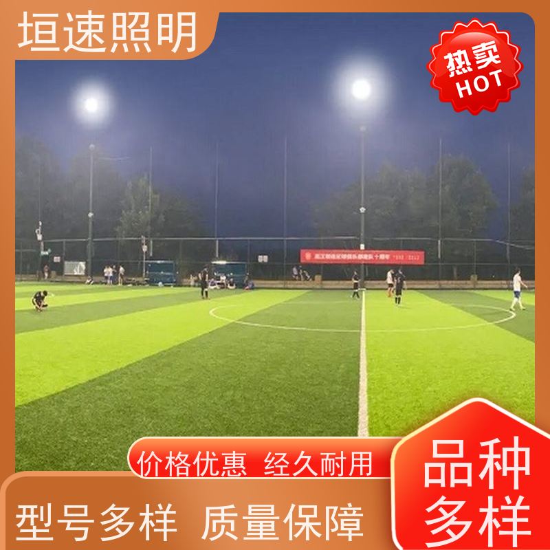 垣速 上海led球馆灯 羽毛球场地灯光 保修3年 场馆智能照明
