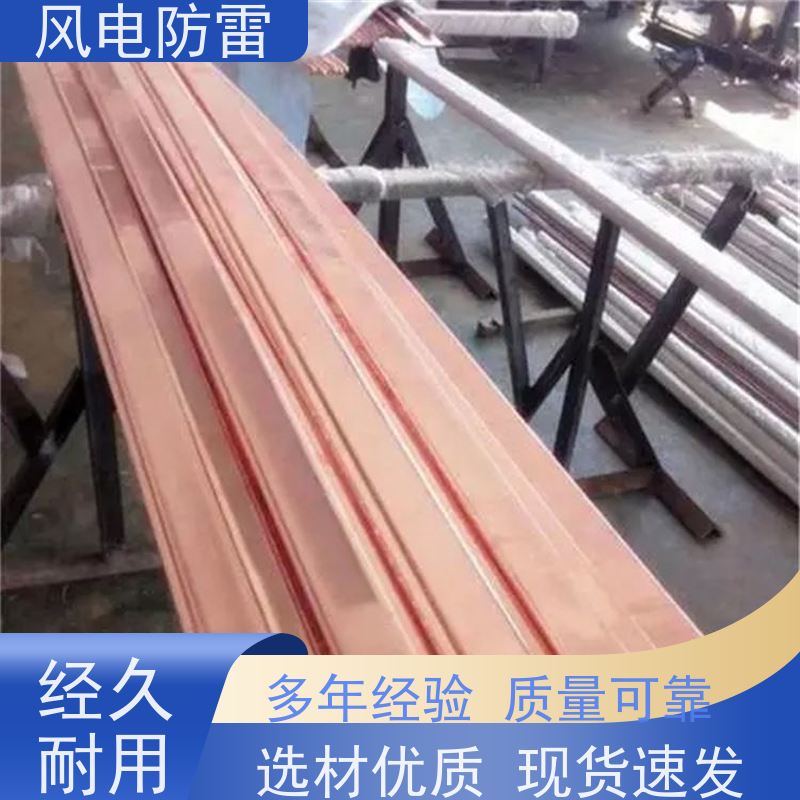 风电防雷 性能稳定 使用安全 阻非 金 属材料 40*4mm镀铜扁钢