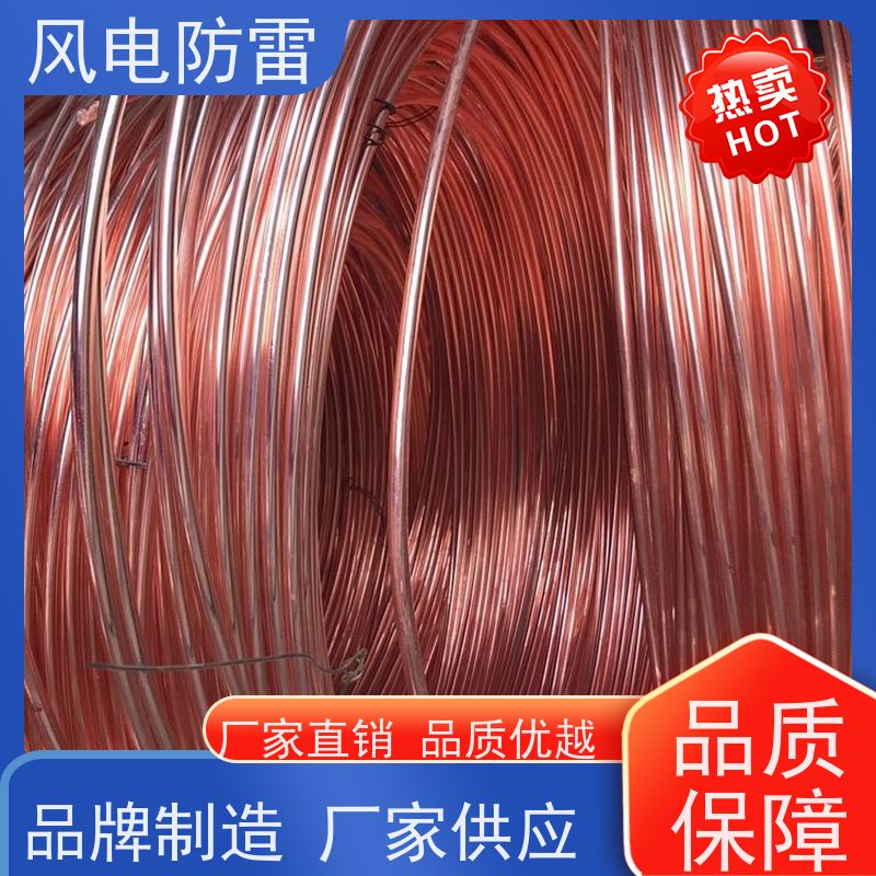 风电防雷 质量保障 可按需定做 特殊非 金 属材料 铜包钢扁钢50*5mm