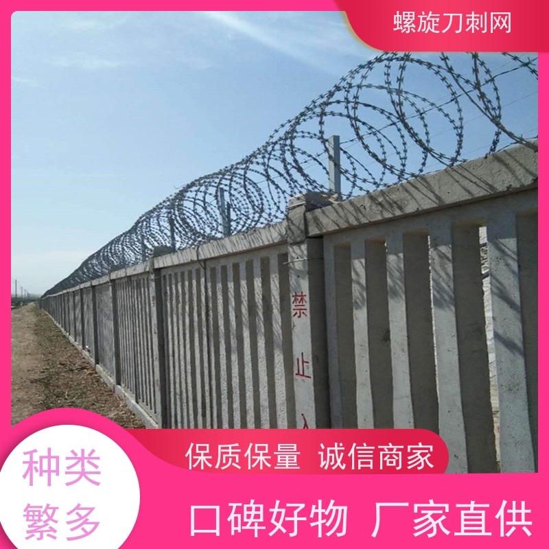 不锈钢滚笼防锈防护网防攀爬铁蒺藜围墙刀刺网颜色