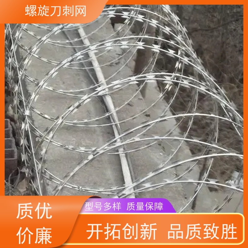 镀锌防攀爬滚刀刺小区学校防盗网蛇蝮式刺丝滚笼刺网安装