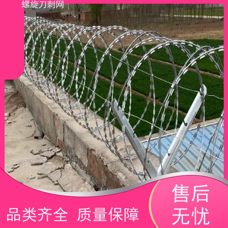 镀锌防攀爬滚刀刺小区学校防盗网高锌刺丝滚笼颜色