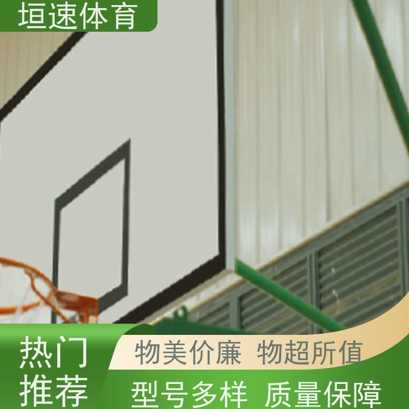 垣速体育 苏州运动场器材 资质齐全 户外移动篮球架