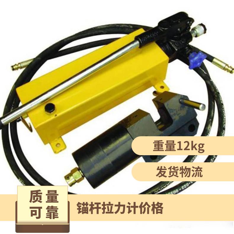 矿用指针式LDZ-100锚杆拉力计 10T数显式拉拨仪