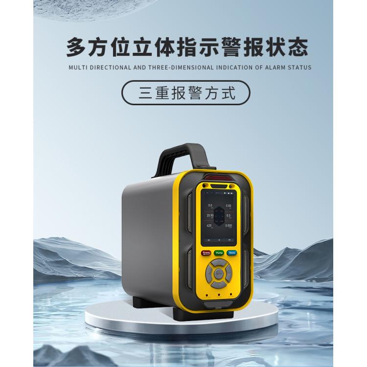 五种 乙硼 LB-MT6X气体检测仪便携式 抗静电 抗电磁干扰