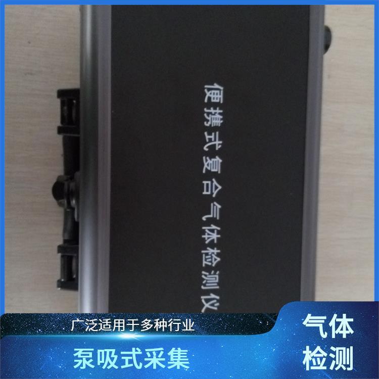 路博 多参数气体 乙酸 气体检测仪 单项气体显示