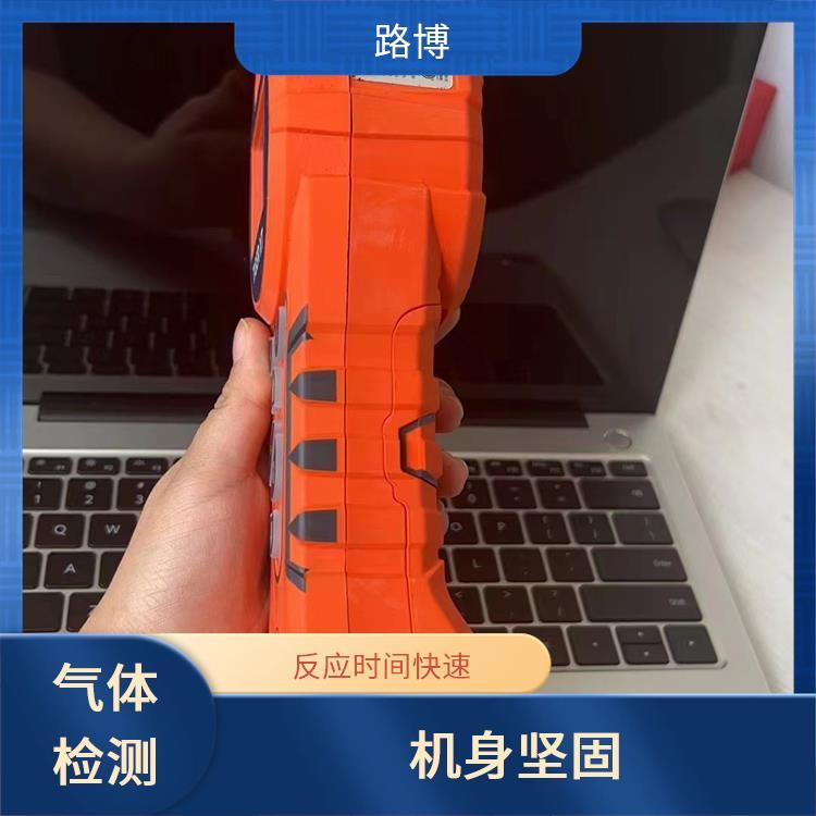 路博 voc检测仪 抗污染设计 内置大型气体表 可检测超750种VOC物质