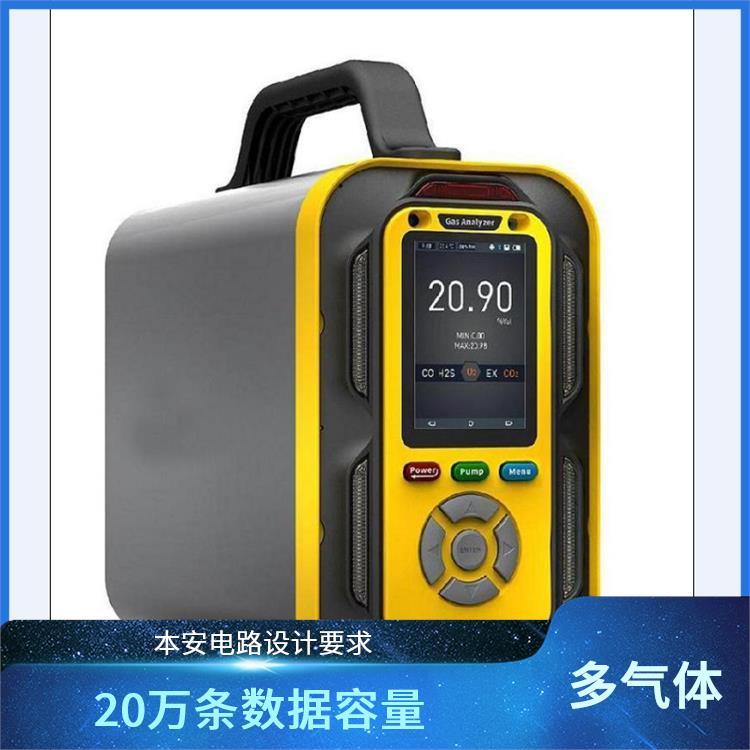 路博LB-MT6X 四氧化二氮 有害气体检测仪气体浓度检测仪 高配3泵运转