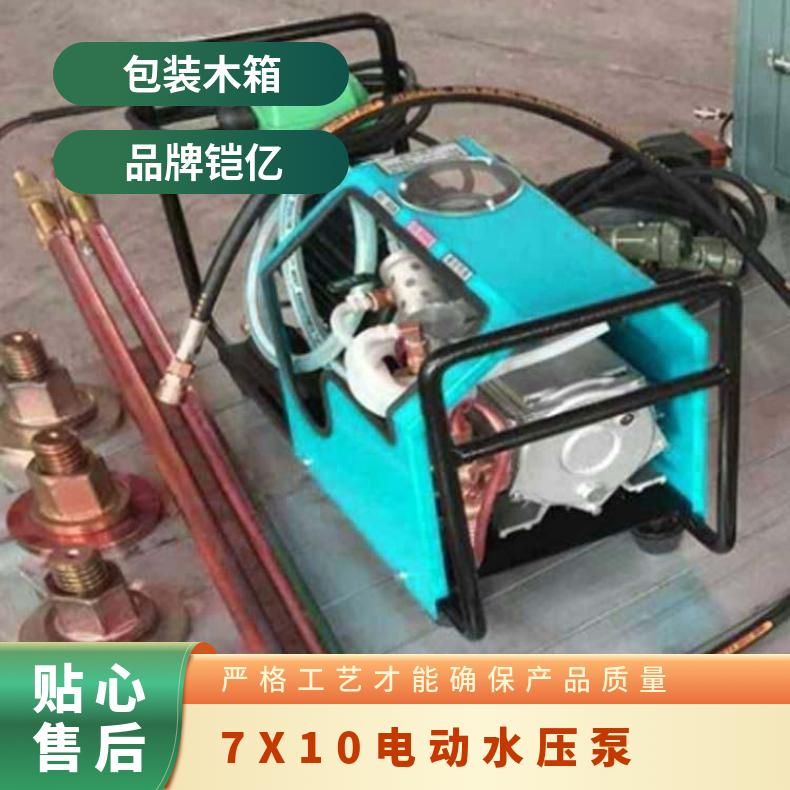 LB-7X10硫化机微型电动水压泵 铜线三相电机驱动