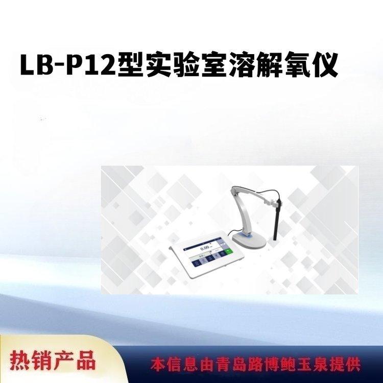 LB-ZY65便携式水污染物监测设备消解检测一体机