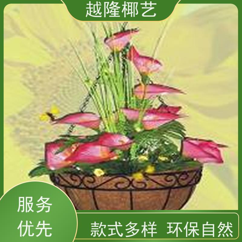 越隆椰艺 垂吊花篮 椰棕吊篮 透气性能好 诚信经营