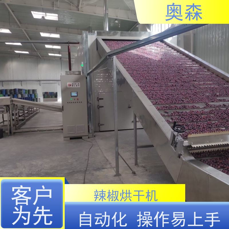 奥森 食品干燥设备 粮食烘干机 智能化设计 性价比高