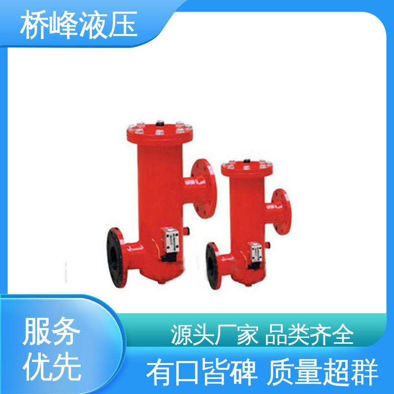 回复迅速 品质优良 规格齐全 大流量双筒过滤器 桥峰