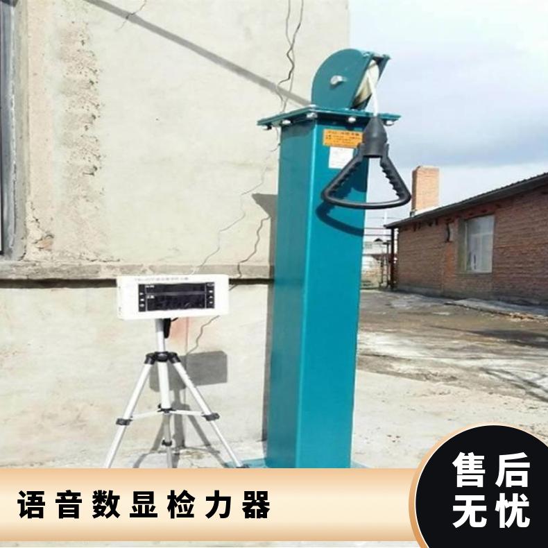 JLQ-20矿用检力器分碳钢和不锈钢两种材质根据需要选择