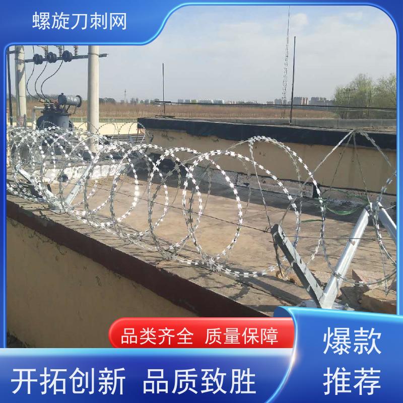 围墙防爬刺小区学校防盗网蛇蝮式刺丝滚笼刺网安装