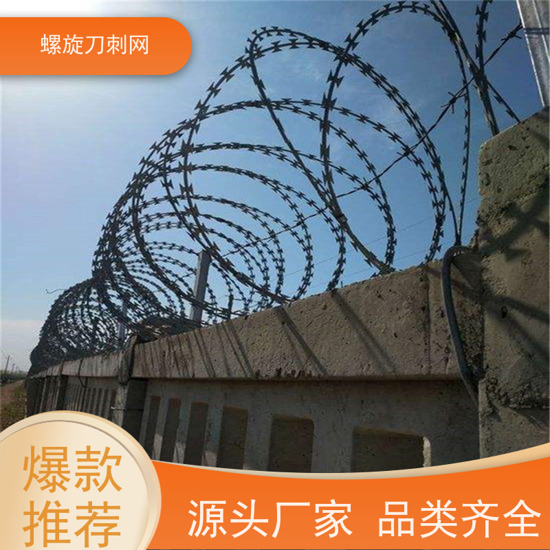 防护网带刺铁丝滚笼镀锌刀刺网刀片刺丝安装