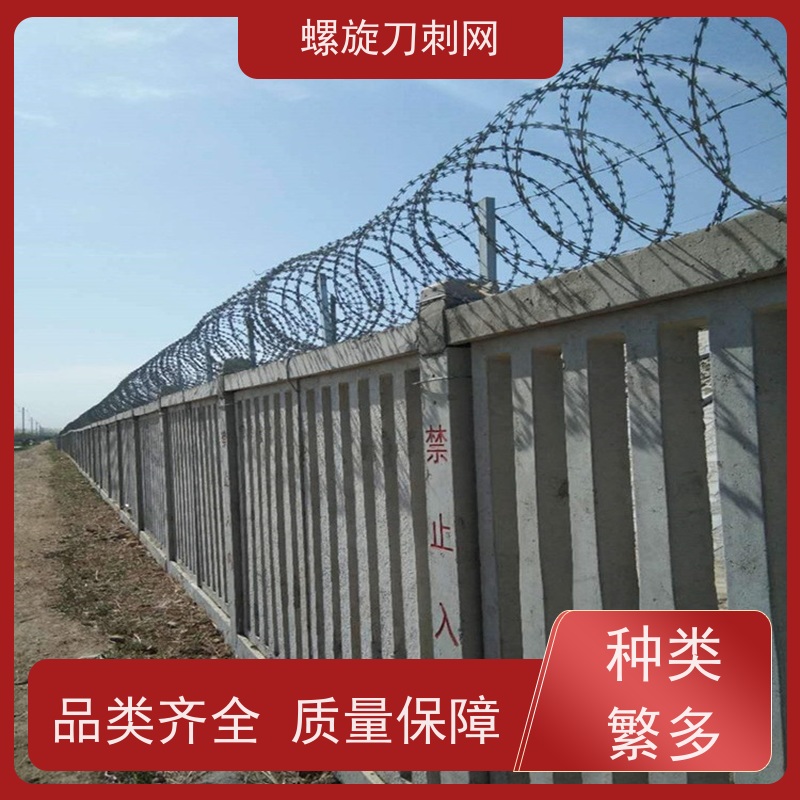 镀锌防攀爬滚刀刺小区学校防盗网蛇蝮式刺丝滚笼刺网颜色