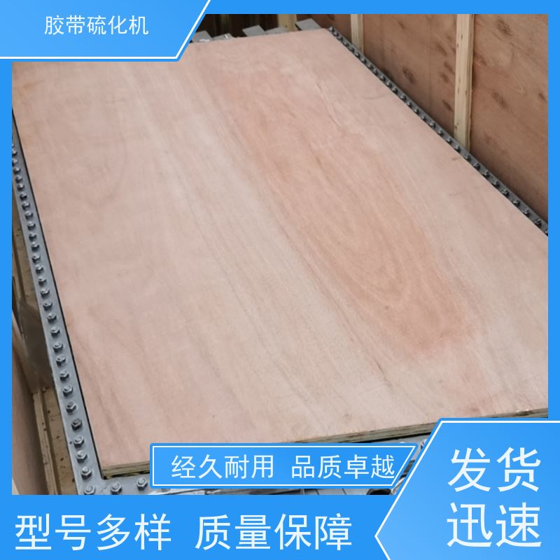 供应DGLJL-1200皮带热硫化机水压板体积小 重量轻