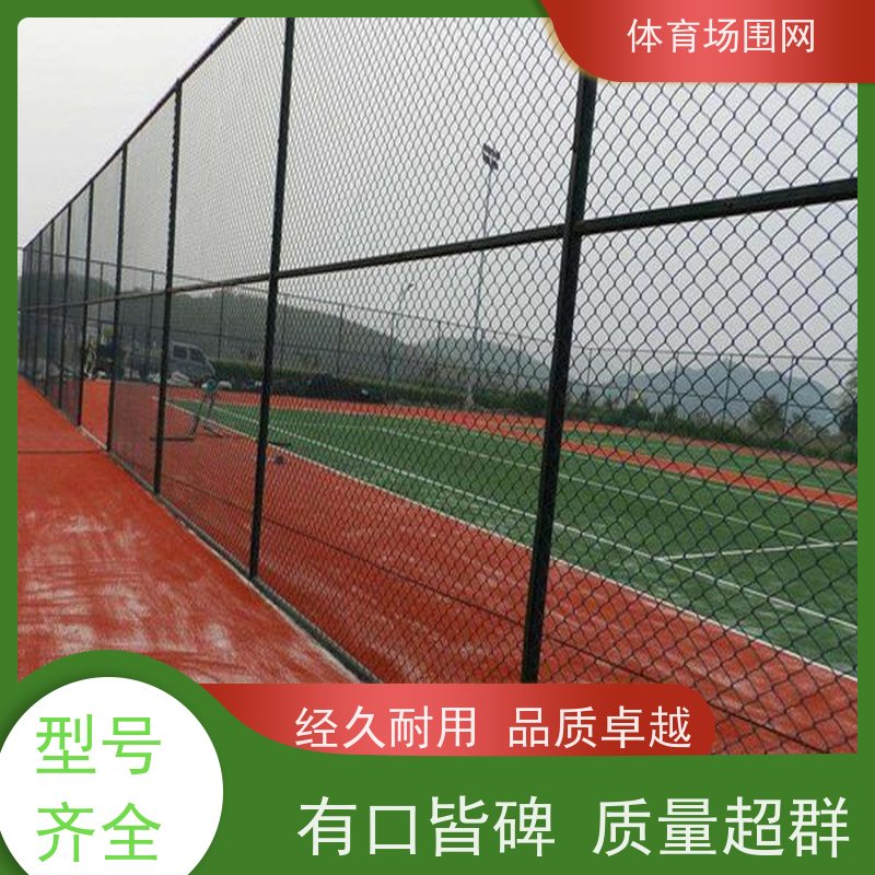 辰思 篮球足球场训练场地用隔离围网 镀锌浸塑低碳钢丝网