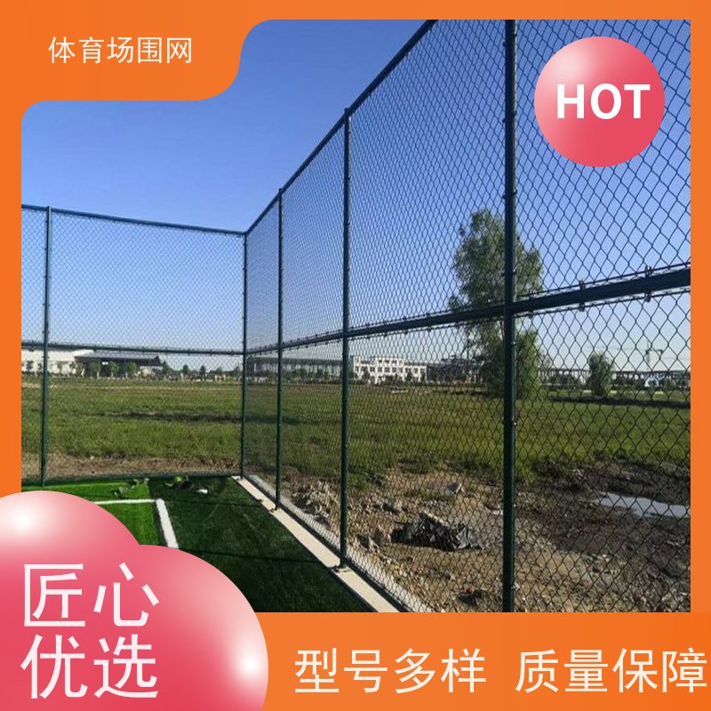 门球场围网 镀锌钢丝 耐腐蚀球场围网 静电喷涂 厂家直供