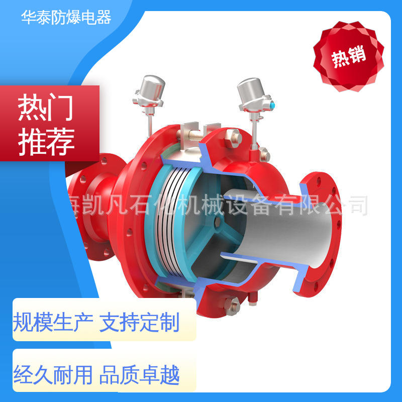 防爆电器 传输信号稳定性好 多年经验 长期供应 500
