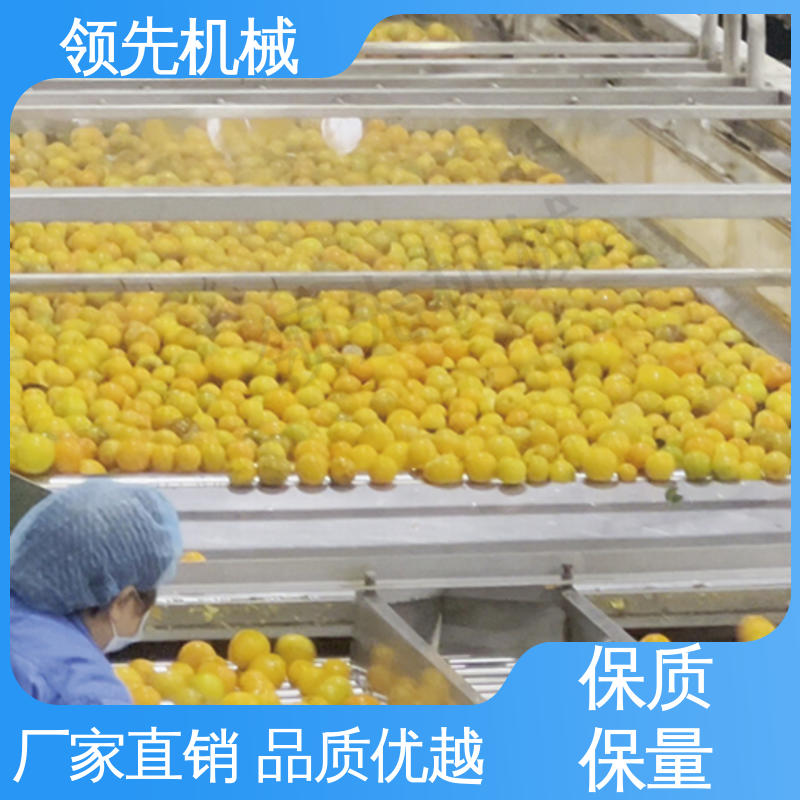 大产量 柳橙 果汁加工设备 专业制造 工业化生产