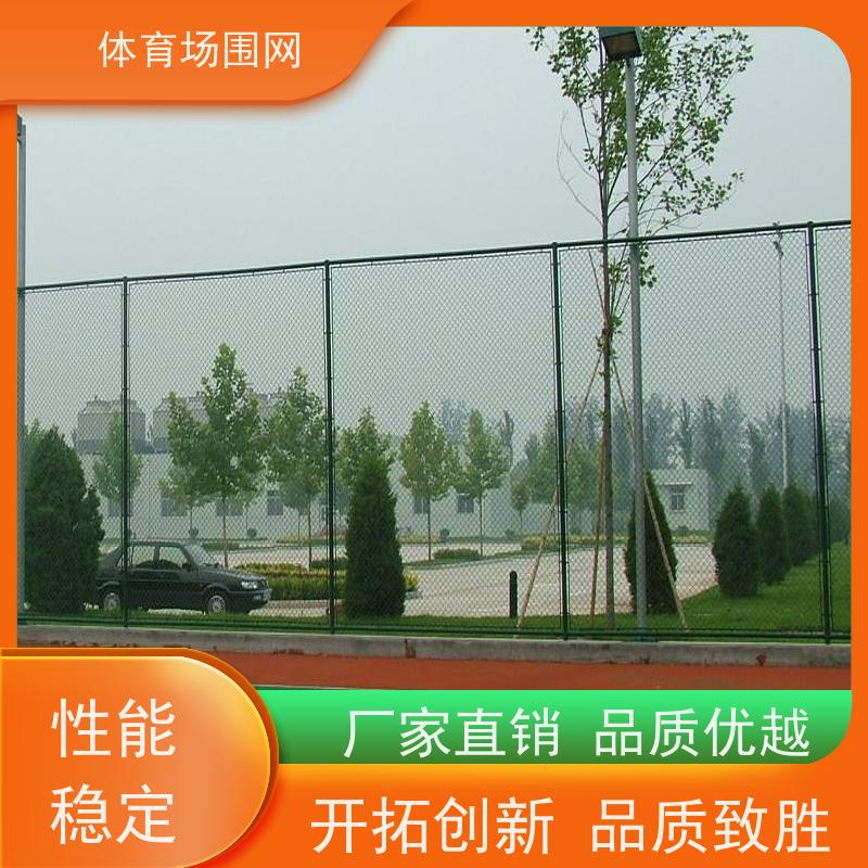 宇轩球场围栏网 学校操场勾花防护网 钢铁丝网体育围网
