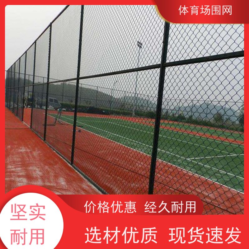 鹏道体育场 运动场 球场专用防护围栏 包塑勾花网
