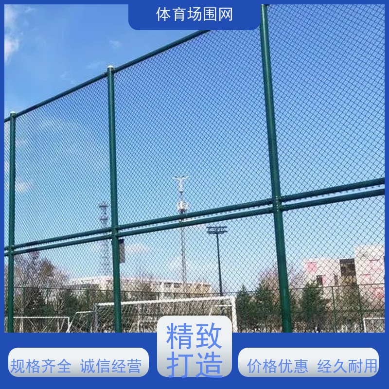 晨越护栏网系列-学校操场可用 球场围网 5米高支持定制