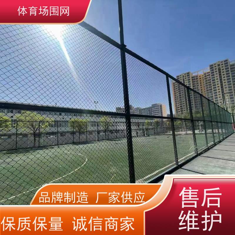 公园围挡球场围栏厂家批发 品质 过硬 小区铁艺围 口碑良好