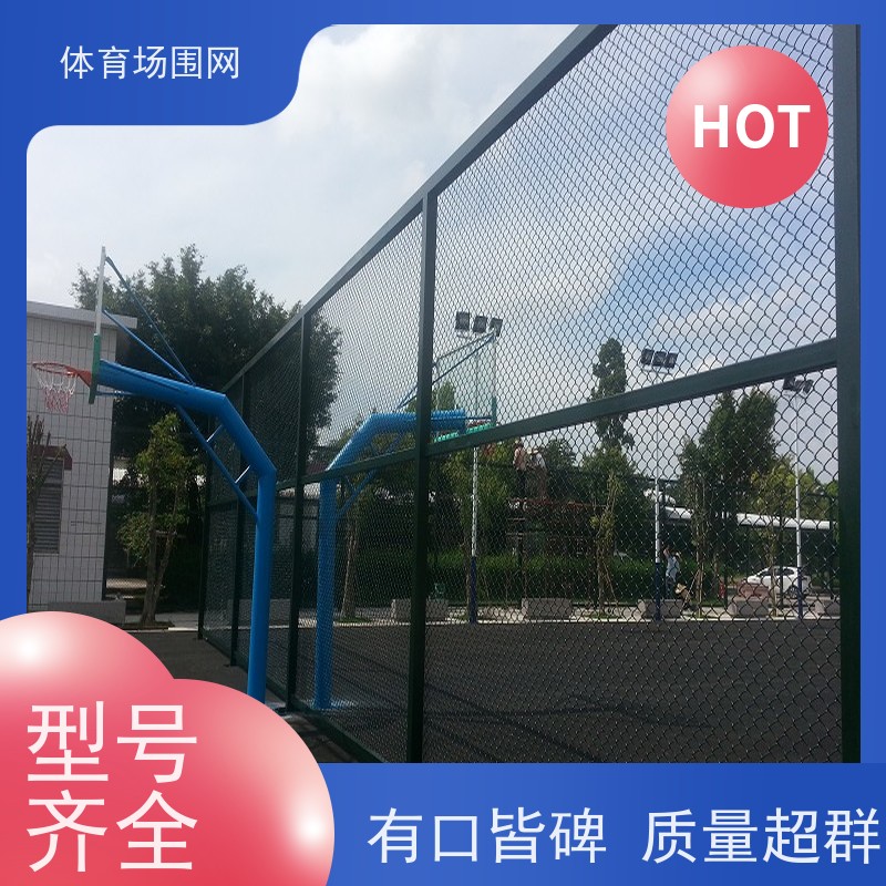 球场护栏网 学校操场体育场围栏 训练乒乓球场围网 勾花网批发 可定制