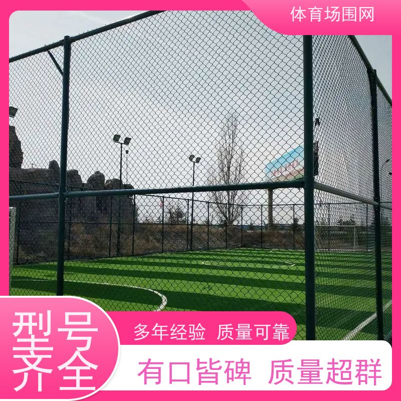 胜丰 组装式球场围网 体育场操场护栏网 包塑菱形网围栏 定制安装