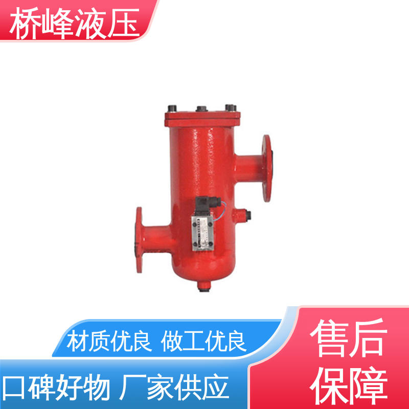 性能稳定 值得信赖 精良大流量双筒过滤器 桥峰