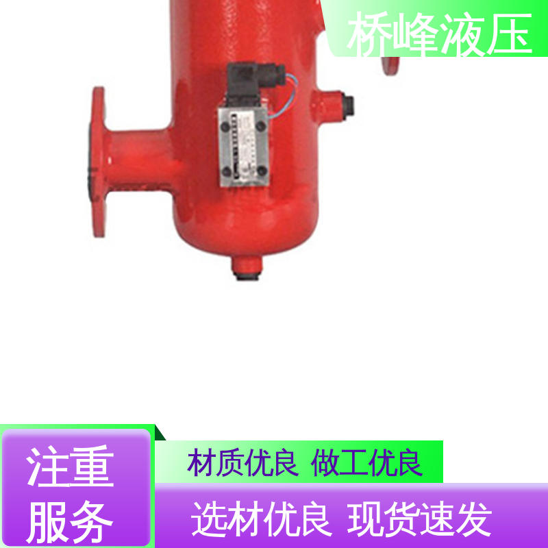 品质安心 方便快捷 发货迅速 大流量双筒过滤器 桥峰