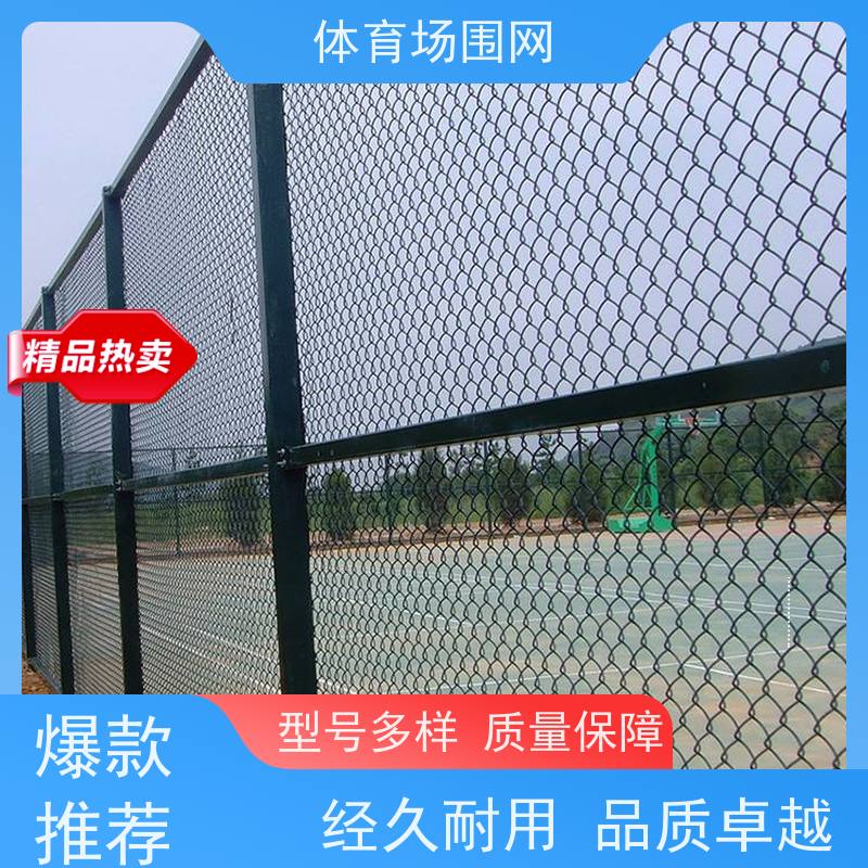 防腐体育场球场围栏网足球场围网篮球场围栏包塑勾花定制护栏网