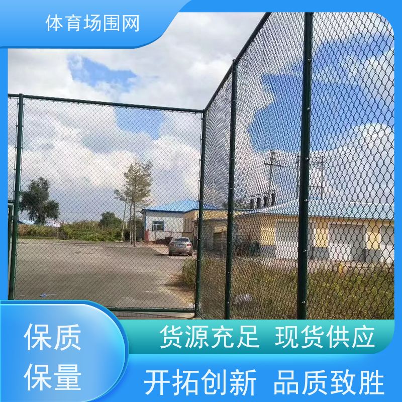 门球场围网 足球场勾花护栏网 学校操场球场围栏 滑雪场防护网 黑金
